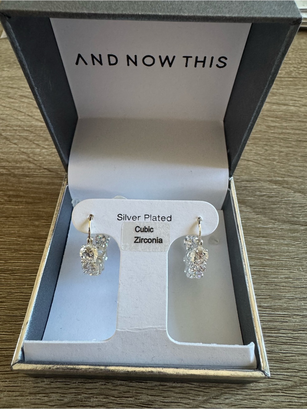 And Now This Silver Hoop Earrings